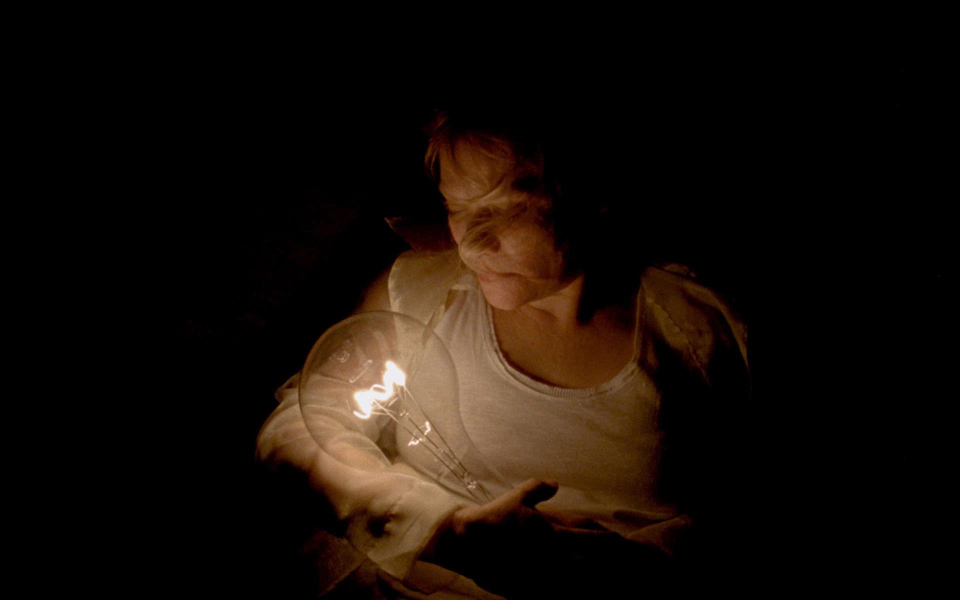 Brabant Cultureel - Licht op Kunst & Cultuur 1.23.1